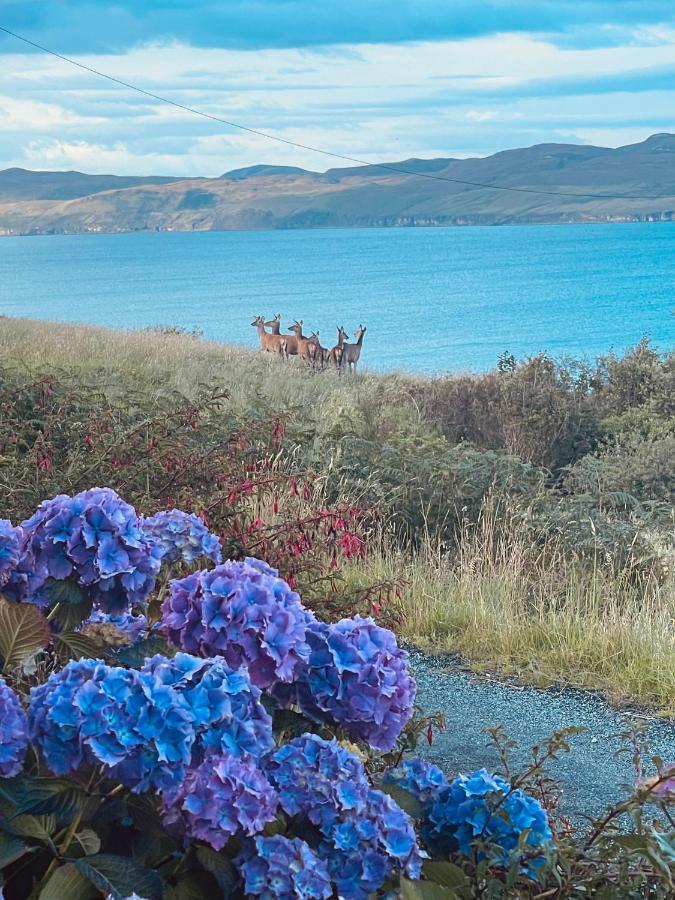 The Rowanberry Suite At Rowan Cottage Elgol Bagian luar foto